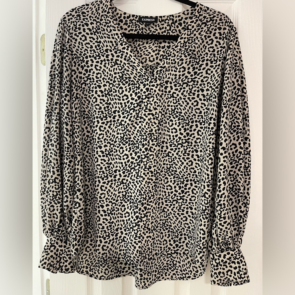 Balloon Sleeve, V Neck Blouse